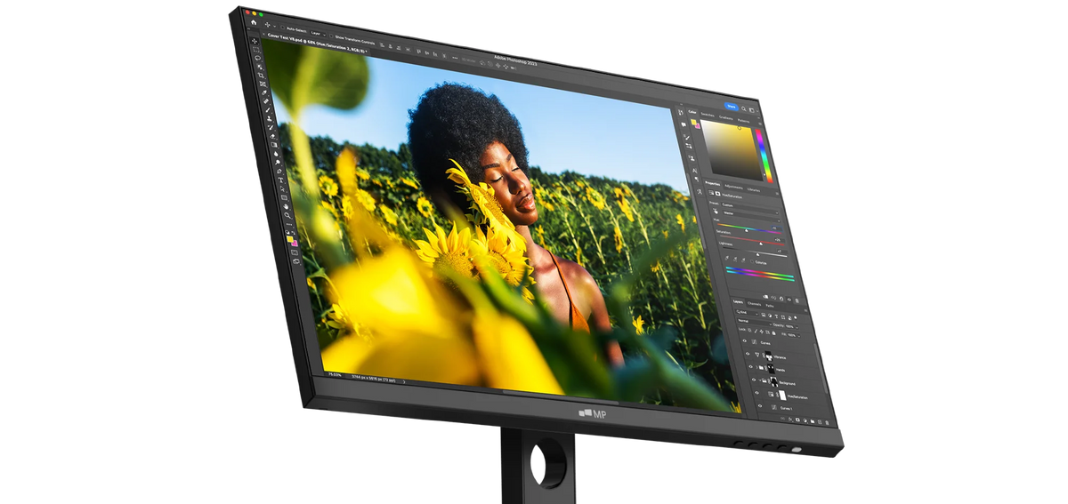 MP 24 inch desktop monitor for photo editing